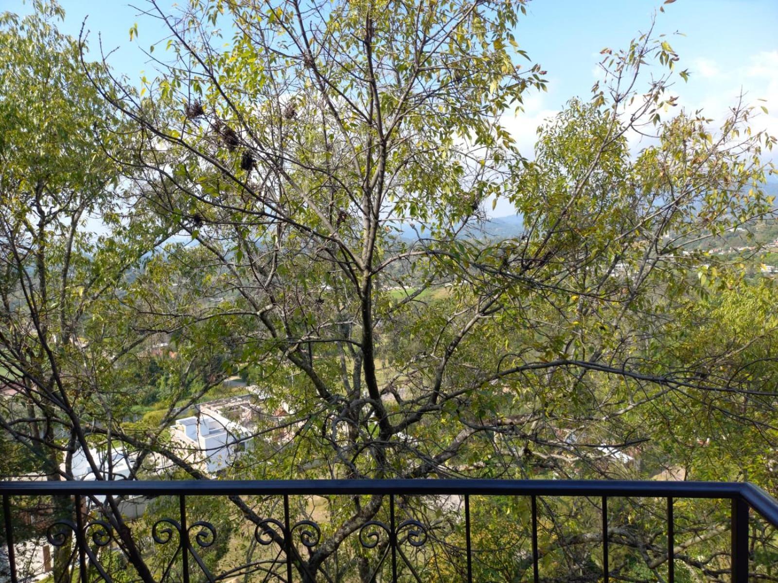 Solache Inn Zitácuaro المظهر الخارجي الصورة